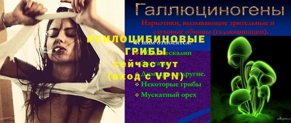 индика Надым