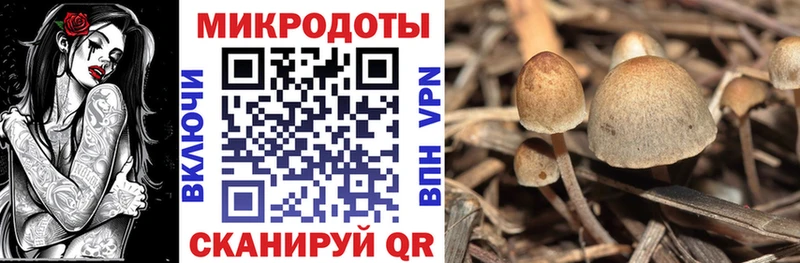 Псилоцибиновые грибы ЛСД  Железногорск-Илимский 