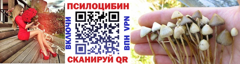 Псилоцибиновые грибы мицелий Железногорск-Илимский